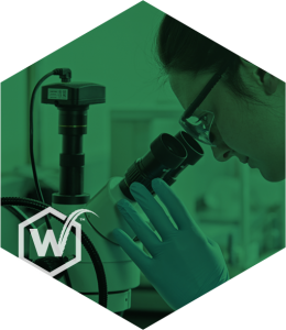 The Werc Shop - Cannabis Science & Research