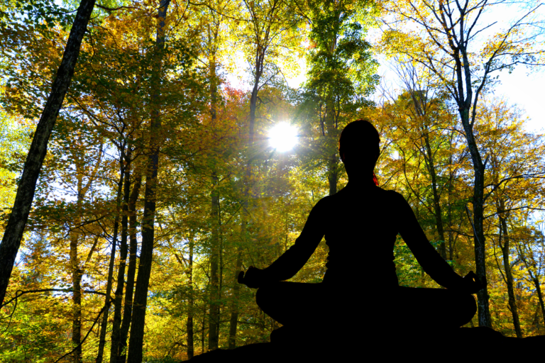 A Women Peacefully Looking Into The Forest With Reduced Anxiousness - Entour Brand - Entour Aromatic Terpenes