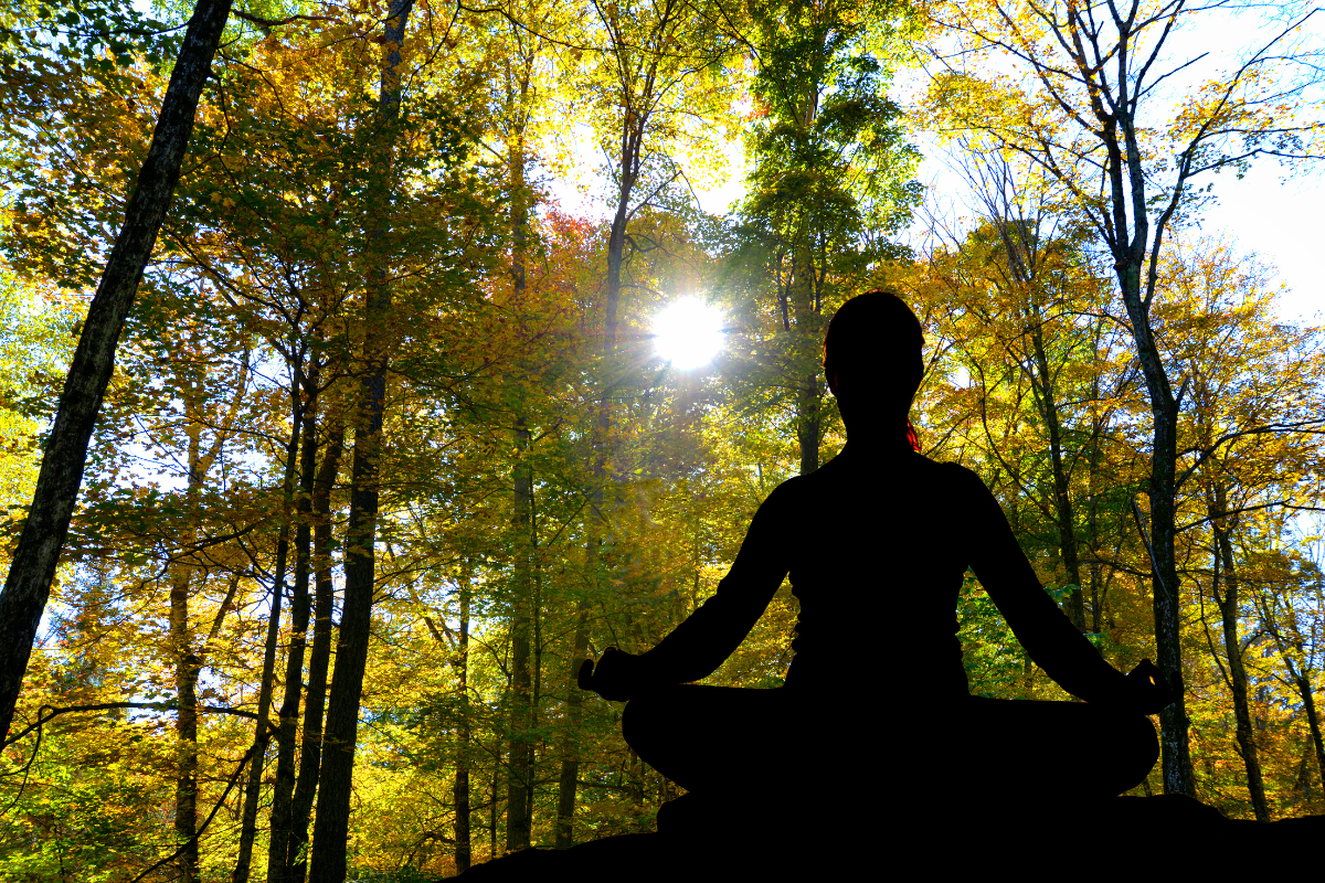 A Women Peacefully Looking Into The Forest With Reduced Anxiousness - Entour Brand - Entour Aromatic Terpenes