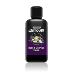 Blood Orange Haze