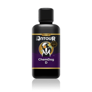 The Werc Shop Entour  