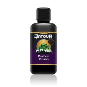 The Werc Shop Entour  