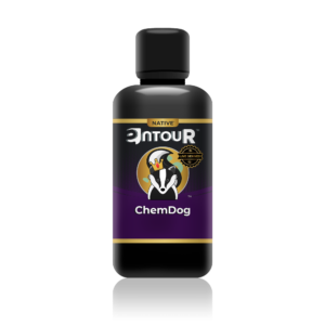 The Werc Shop Entour  